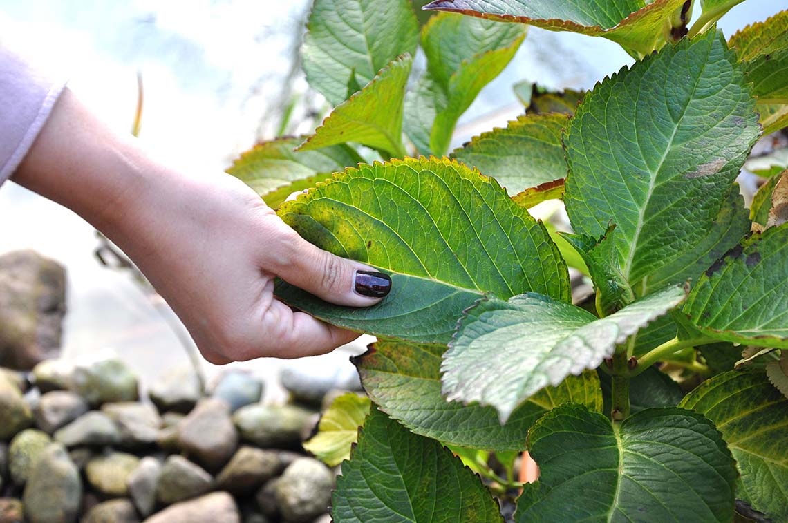 achtsamkeit3 1024x515